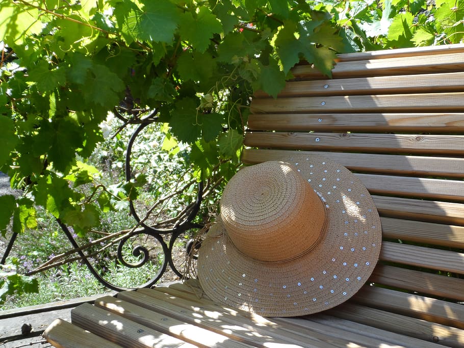 hat, bench, summer, vine, tree, plant, day, nature, growth HD wallpaper