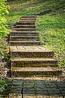 Stairs, Green, Architecture, gradually, staircase, emergence HD wallpaper