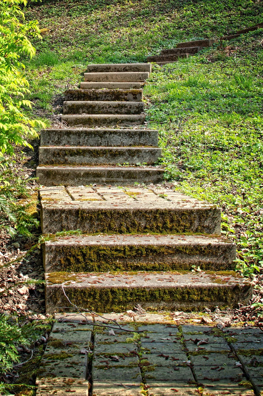 Stairs, Green, Architecture, gradually, staircase, emergence HD wallpaper