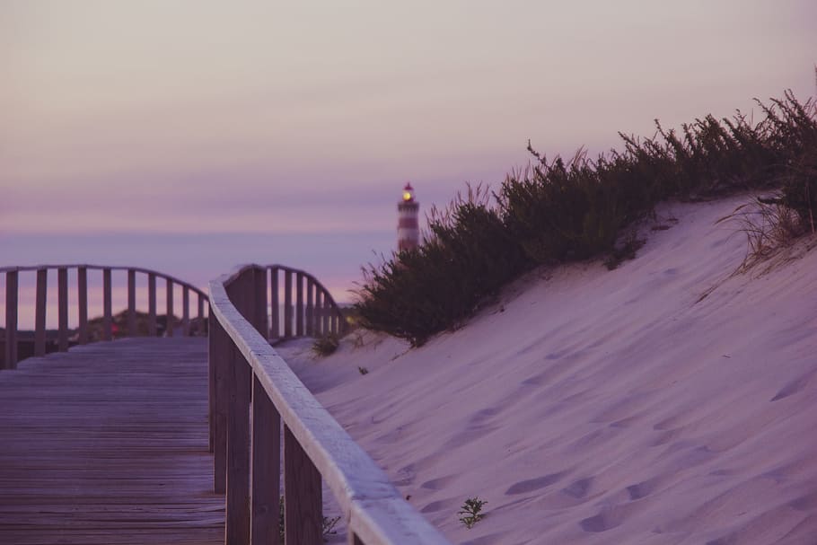 rules of third photography of brown bridge, lighthouse during nighttime HD wallpaper