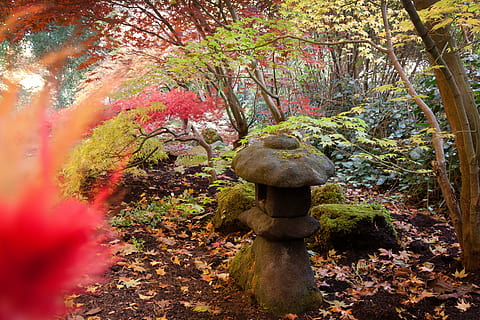 brown sculpture near green leafed trees, toro, lantern, stone HD wallpaper