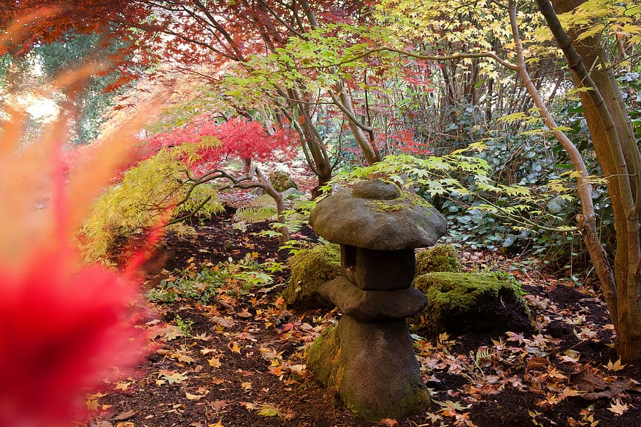 brown sculpture near green leafed trees, toro, lantern, stone HD wallpaper