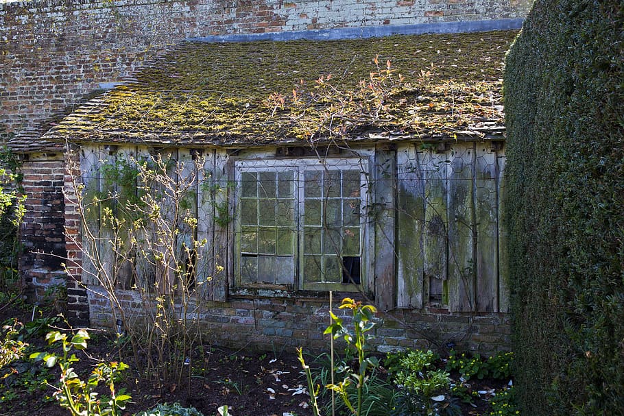 disused potting shed, lean-to, broken windows, old cladding HD wallpaper