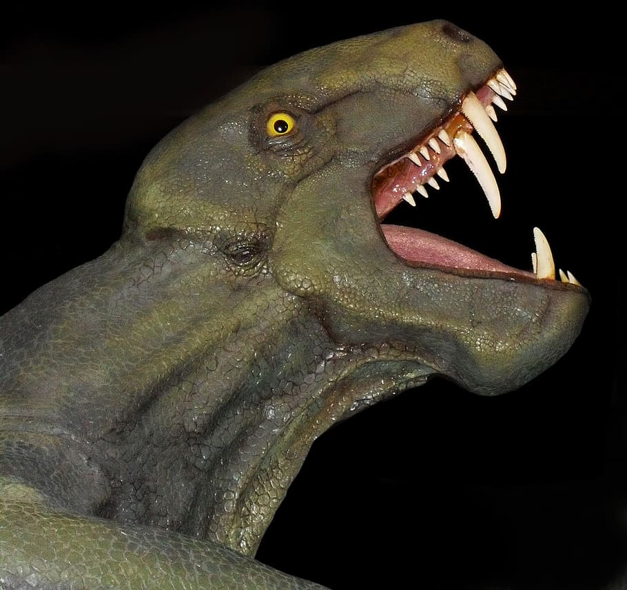 gray dinosaur illustration, gorgonops, fossil, prehistoric, extinct, HD wallpaper