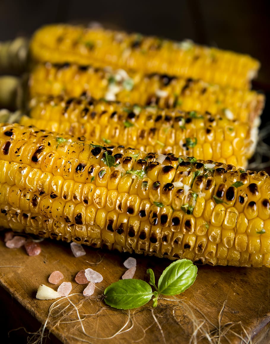 selective focus photography of grilled corns, four grill corns on brown tray HD wallpaper