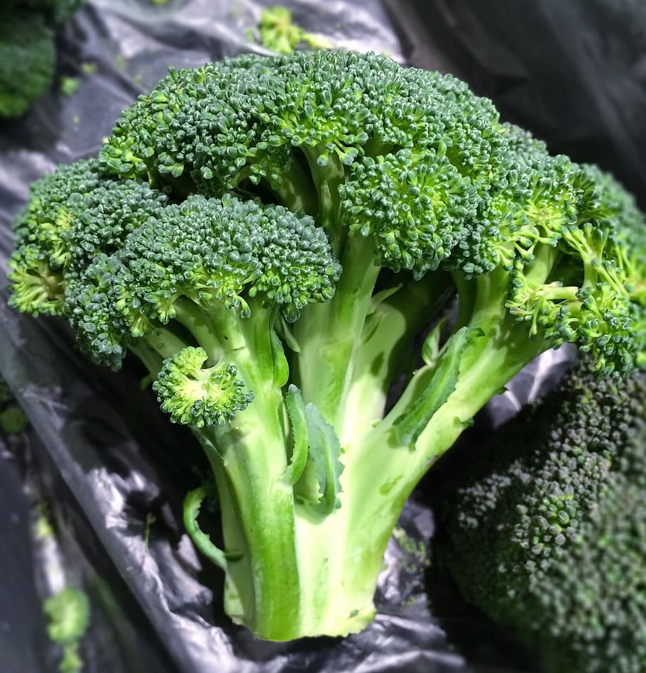 broccoli, vegetables, seiyu ltd, living, supermarket, fruits and vegetables, HD wallpaper