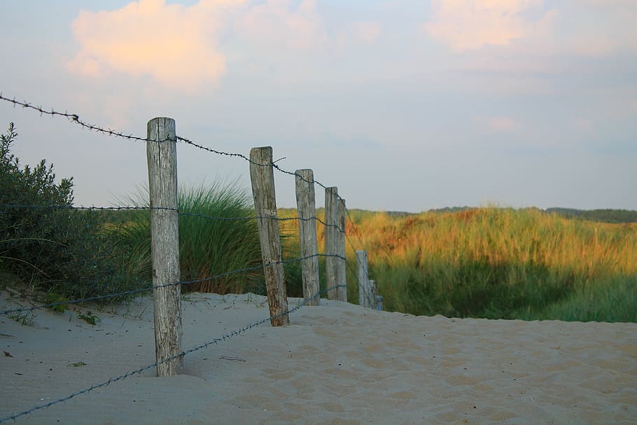 Fence, Barbed Wire, Sand, Dune, Summer, north sea, nature, outdoors HD wallpaper