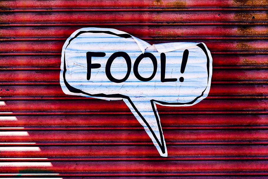 fool, sign, wall, street art, liverpool street, paper sign, HD wallpaper