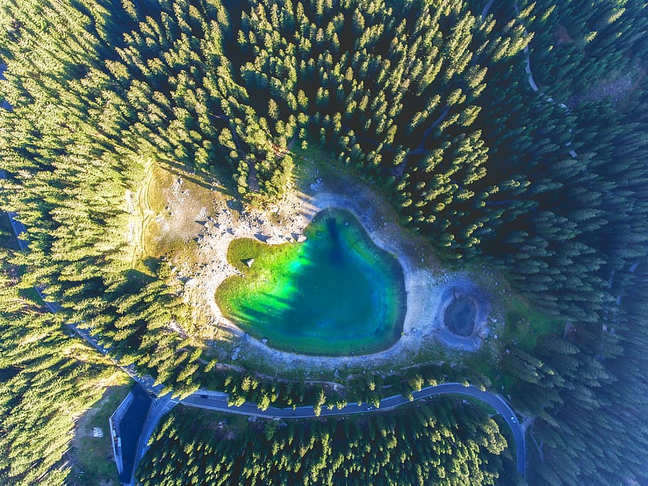 green swamp lake surrounded by trees, aerial view of Gran Prismatic Spring between forest HD wallpaper