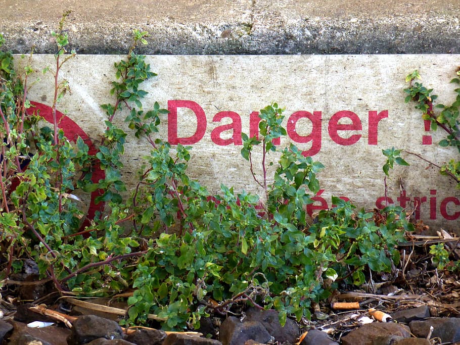 writing, station, track, abandoned, nature, former, danger HD wallpaper
