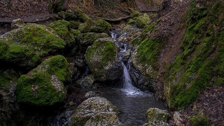 gorge, moss, nature, damp, water, scenics - nature, flowing water HD wallpaper