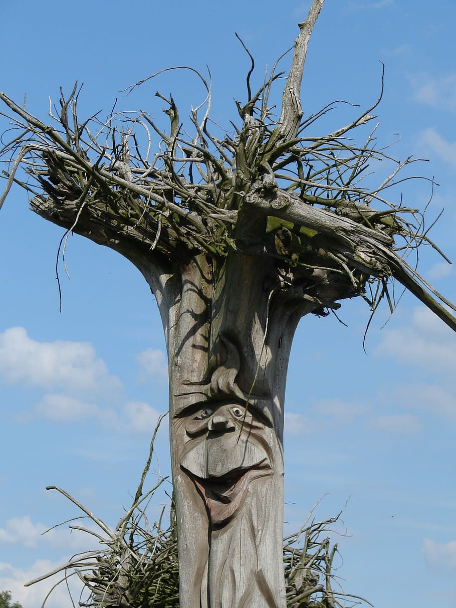 root, art, males, nature, wood carving, tree, face, old, tribe HD wallpaper