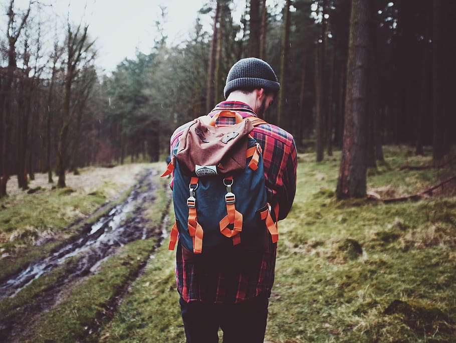 man carrying backpack standing surrounded by tree, man wearing blue and brown backpack standing in forest HD wallpaper