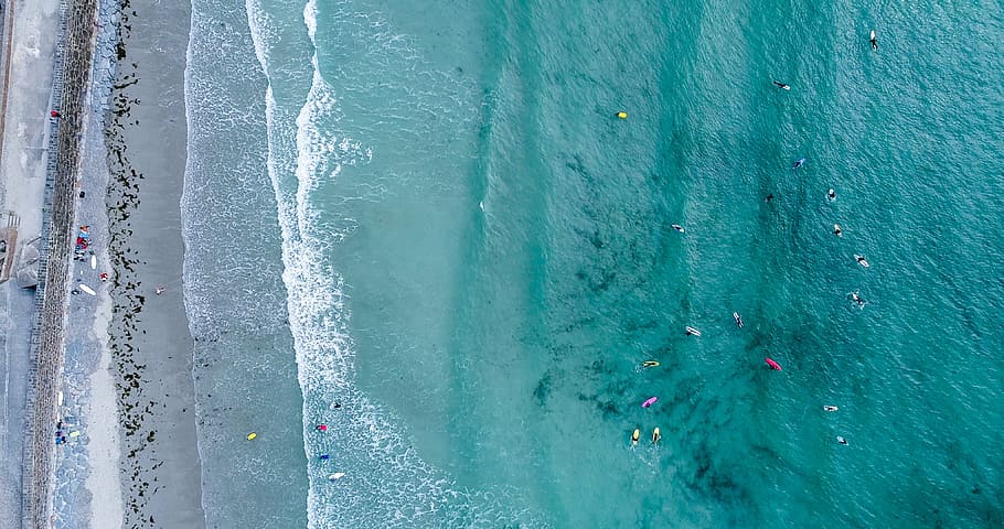 aerial photo of garbage floating on seashore, ocean, water HD wallpaper