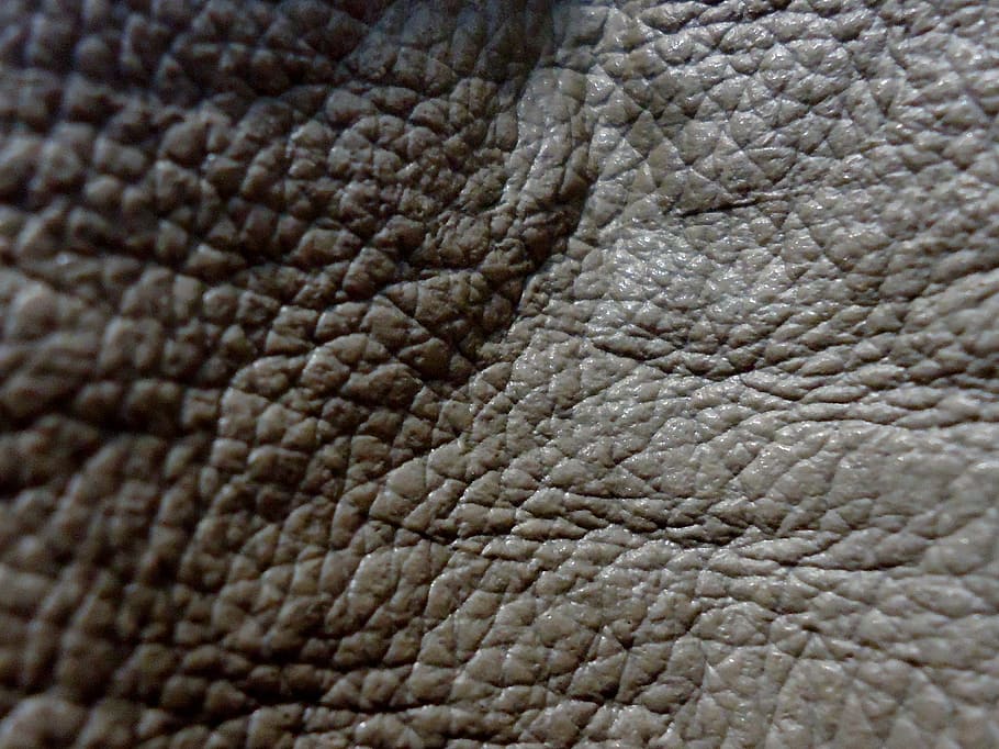 skin, leather, material, bag, grey, textile, animal themes HD wallpaper