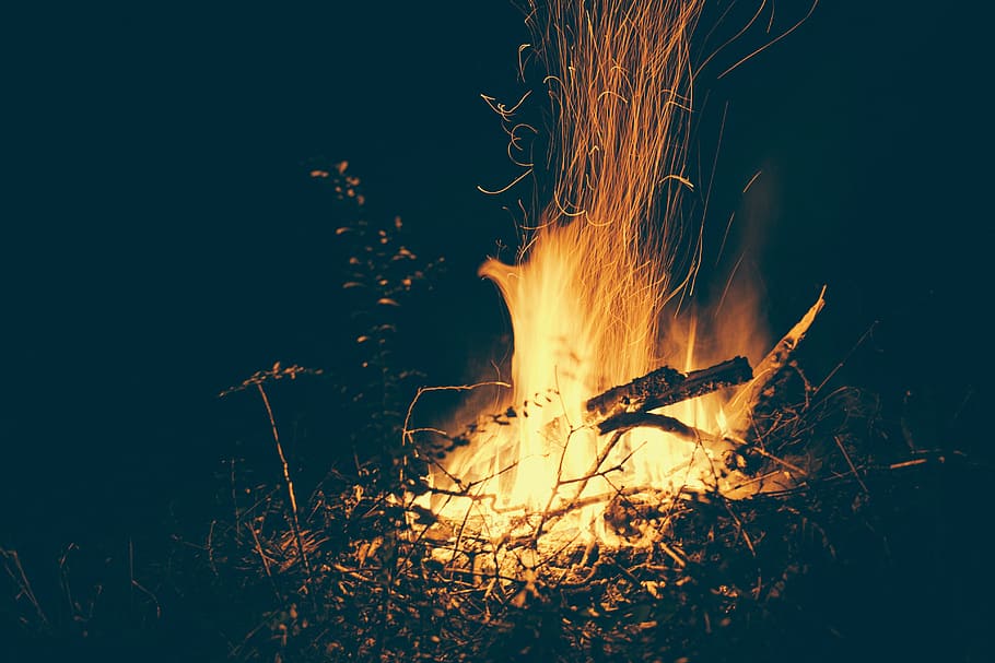 bone fire with dim background, campfire, flames, fire warm HD wallpaper