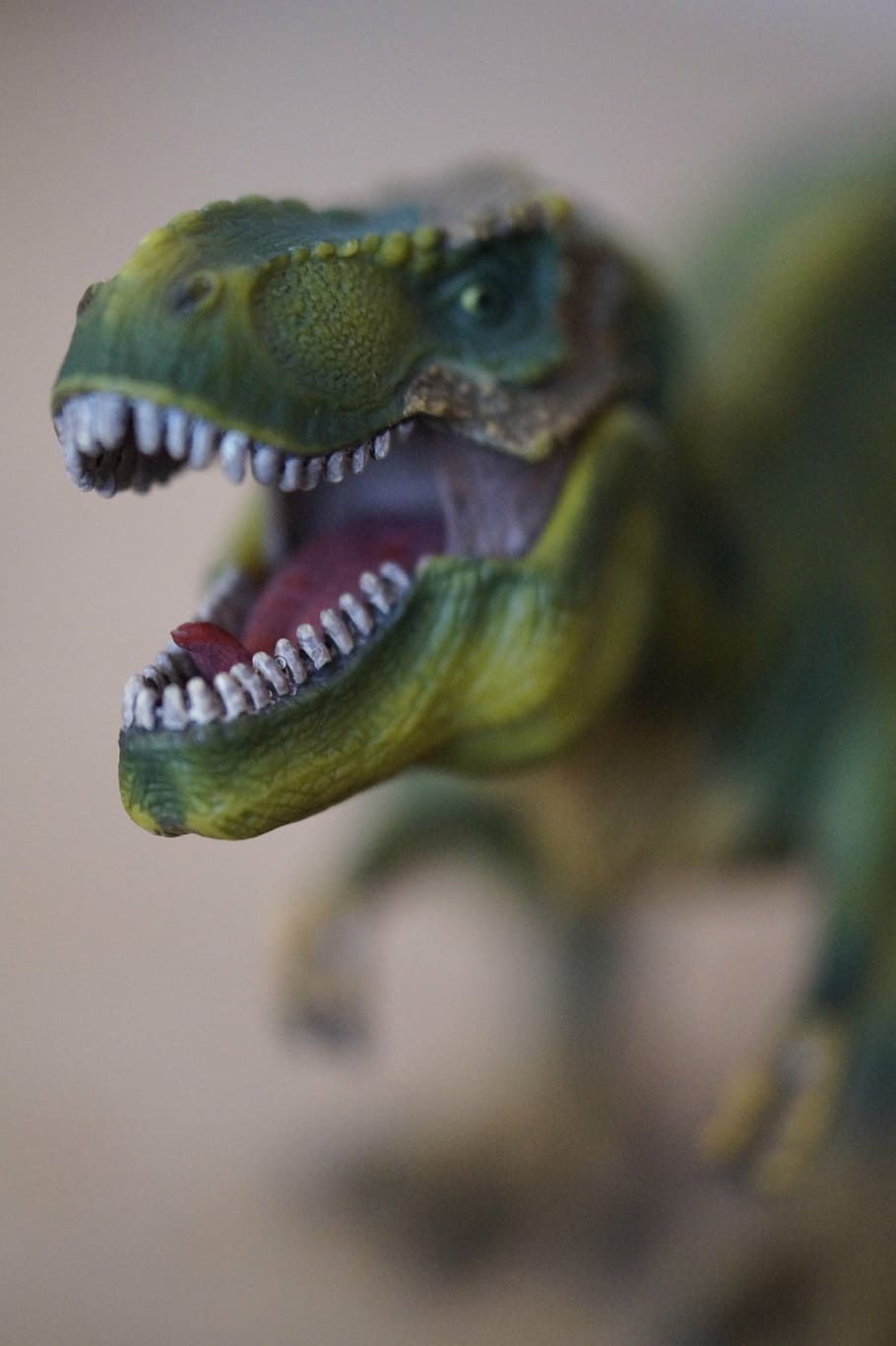 foot, tooth, dangerous, tyrannosaurus rex, predator, head, reptile, HD wallpaper