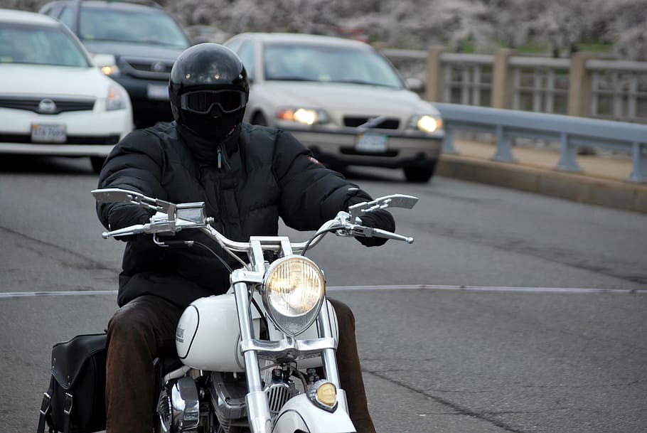 man riding on cruiser motorcycle on the street, Motorcycle, Rider