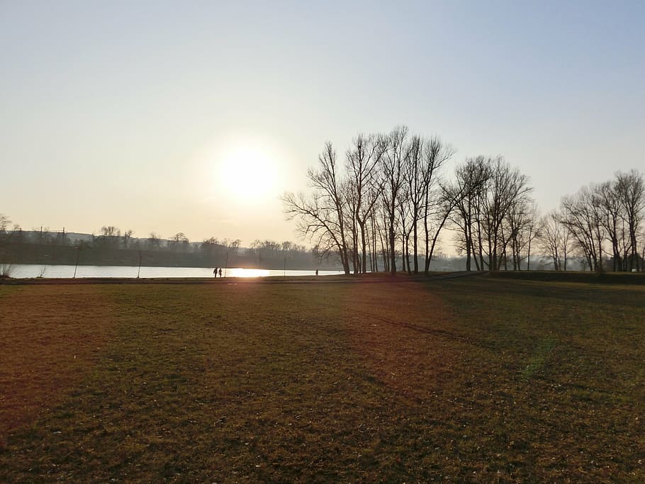 sunset, field, riverside, trees, back light, landscape, sky HD wallpaper