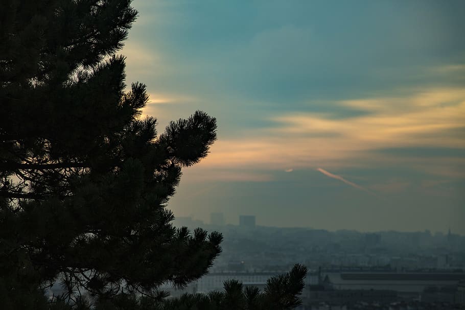morning, sky, clouds, beautiful, landscape, sunrise, backlighting HD wallpaper