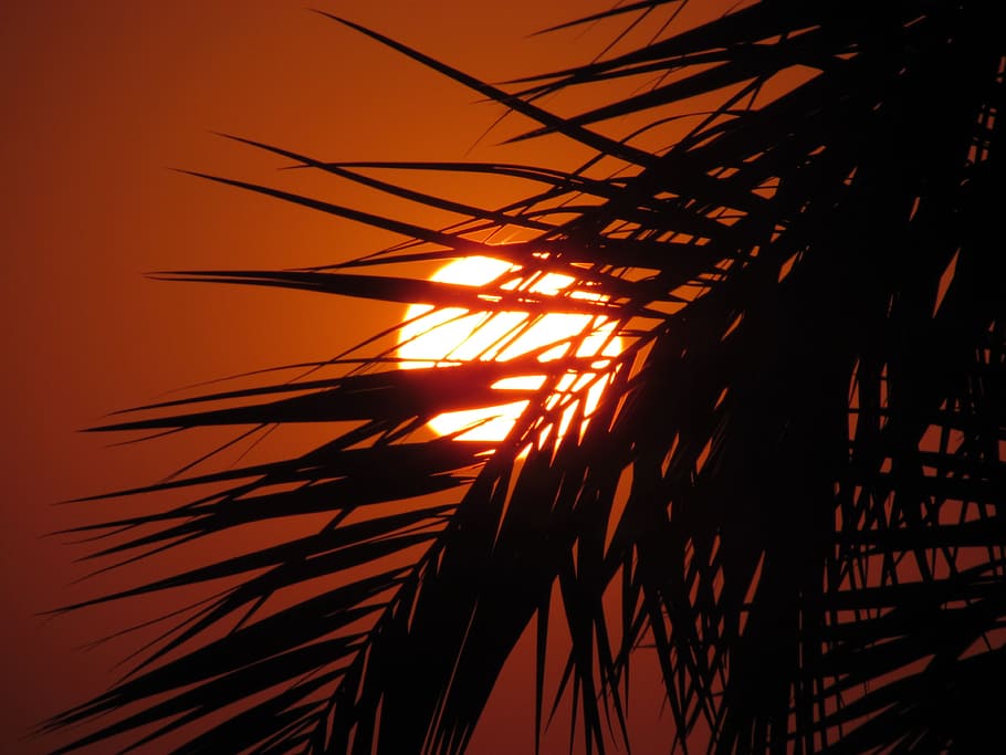 Solar, In The Evening, Evening, Light, Sunset, turkey, sunset sea views HD wallpaper