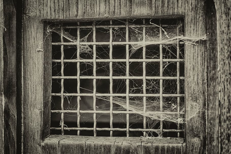 grayscale photo of web on door, window, grid, spider web, atmosphere HD wallpaper
