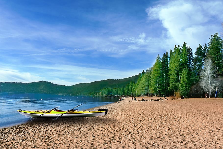 waters, nature, sha, summer, beach, sky, tree, cloud - sky HD wallpaper