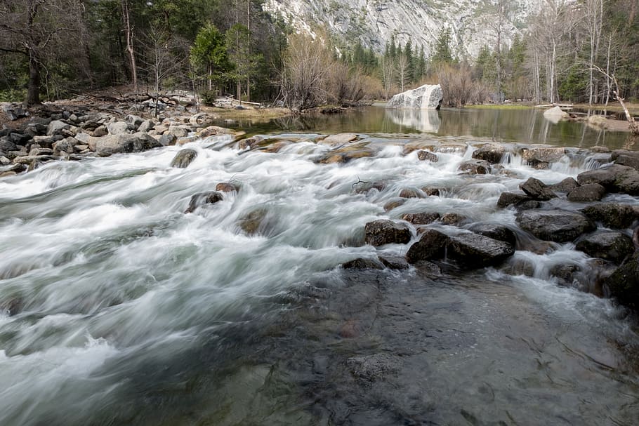 river, scenic, nature, water, motion, flowing water, beauty in nature HD wallpaper