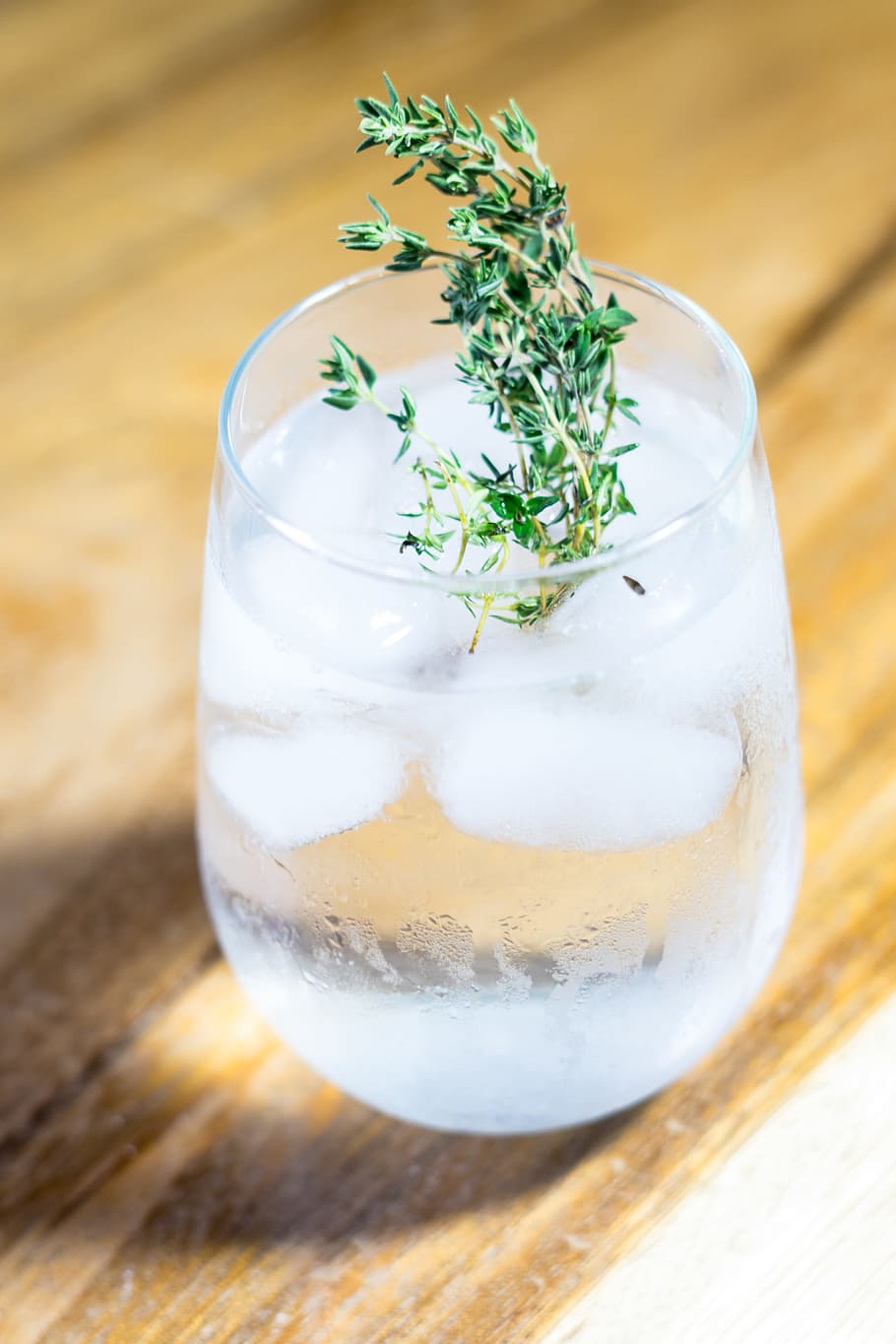 Green Leafed Plant on Drinking Glass With Ice and Water, blur HD wallpaper