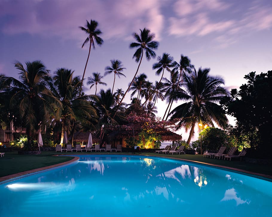 photo of swimming pool surrounded by trees, photo of pool near trees HD wallpaper