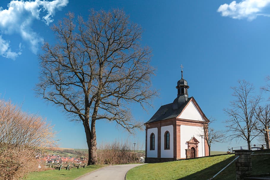 tree, sky, nature, architecture, old, chapel, park, old building HD wallpaper