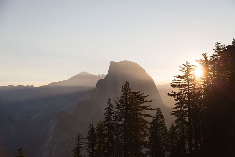 landscape photography of trees and mountain, green trees near mountains HD wallpaper
