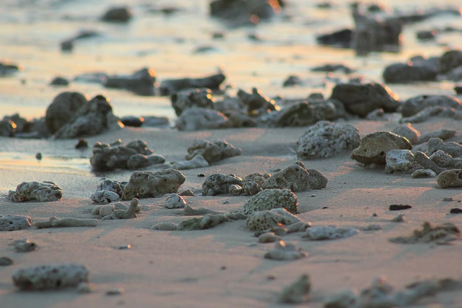 sand, rocks, pebbles, beach, sea, land, solid, water, selective focus HD wallpaper