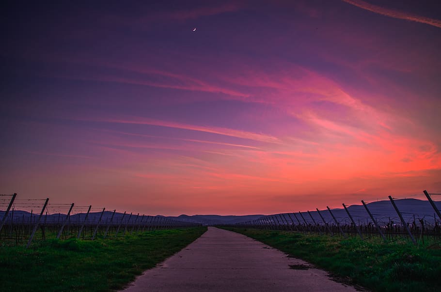 sky, cloud, nature, sunset, green, grass, agriculture, field HD wallpaper