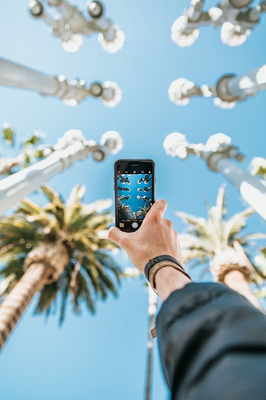 person raising black smartphone, person holding black iPhone 7 taking photo of trees HD wallpaper