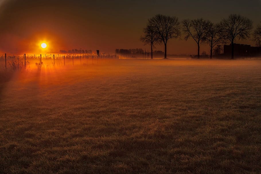 Winter, Sentence, Meadow, Trees, sunset, nature, dusk, outdoors HD wallpaper