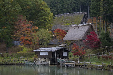 Mill, Japan, Pond, Tranquility, Trees, relaxation, japanese garden HD wallpaper
