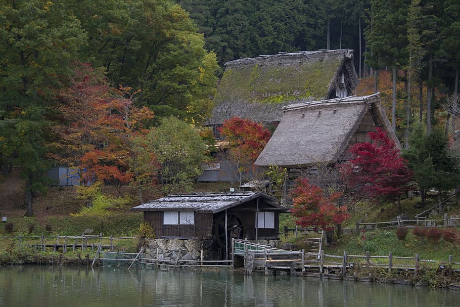 Mill, Japan, Pond, Tranquility, Trees, relaxation, japanese garden HD wallpaper