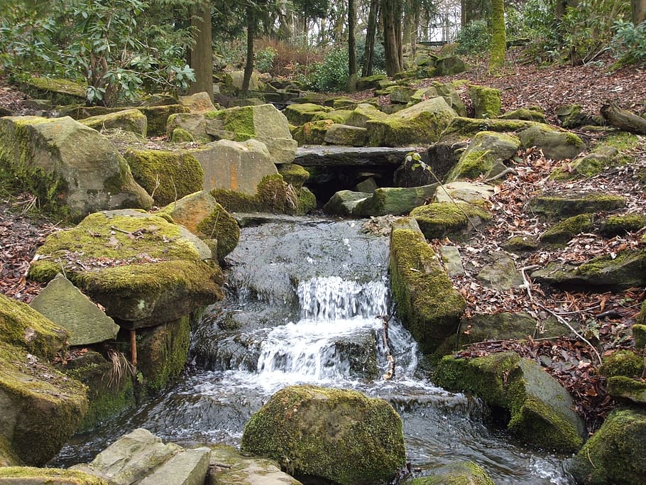 stream, water, rocks, leaves, trees, woods, wooded, moss, autumn HD wallpaper