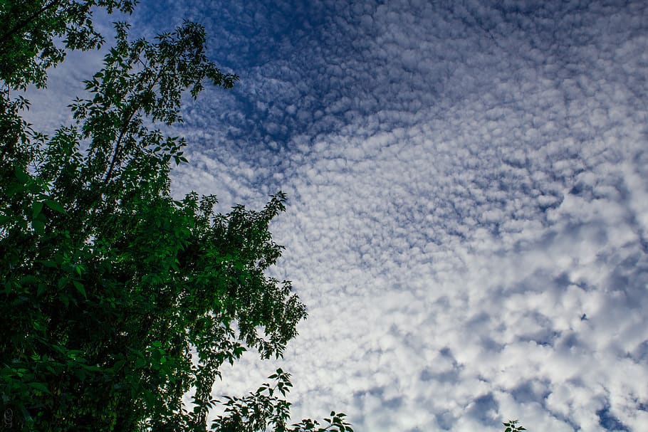 clouds, sky, blue sky, evening sky, nature, day, cumulus, background HD wallpaper