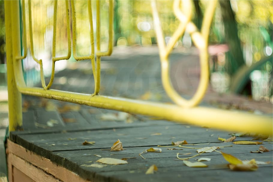 yellow, railing, wood, water, day, no people, nature, plant part HD wallpaper