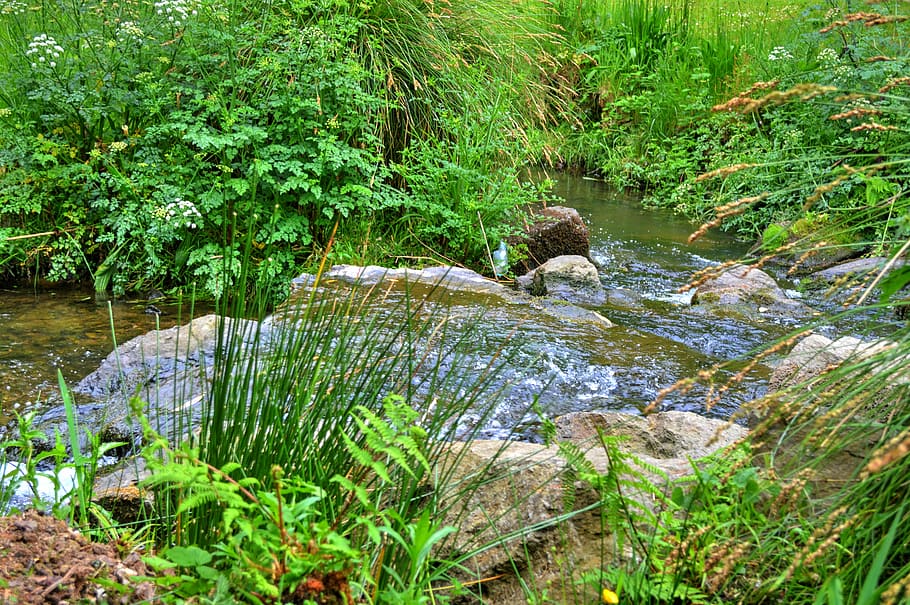 cascade, water, creek, waterfall, nature, river, plant, water courses HD wallpaper