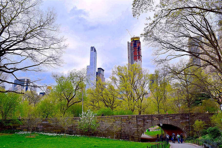 Central Park, Nyc, Spring, Manhattan, city, architecture, cityscape, HD wallpaper