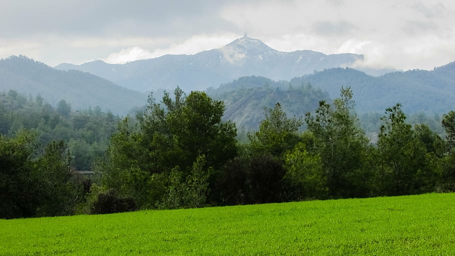 green trees near mountains and green field at daytime, meadow HD wallpaper