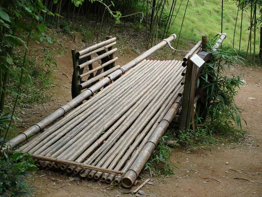 bench, dead rock circle, bamboo, plant, nature, no people, forest HD wallpaper