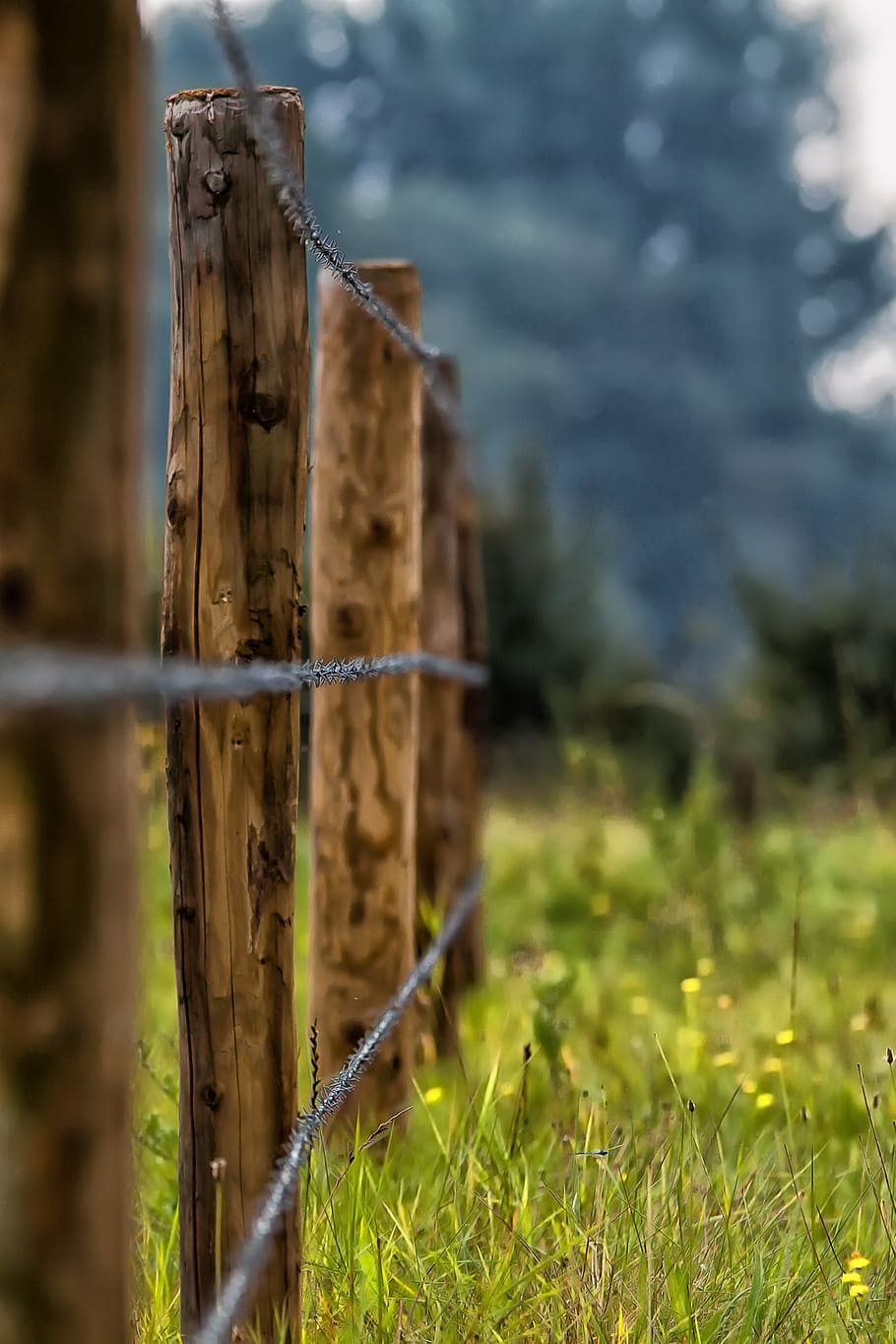 selective focus photography of gray barwires with wood stands HD wallpaper