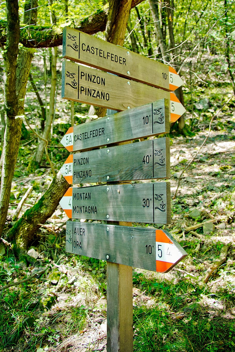 directory, signs, note, away, signposts, nature, direction HD wallpaper