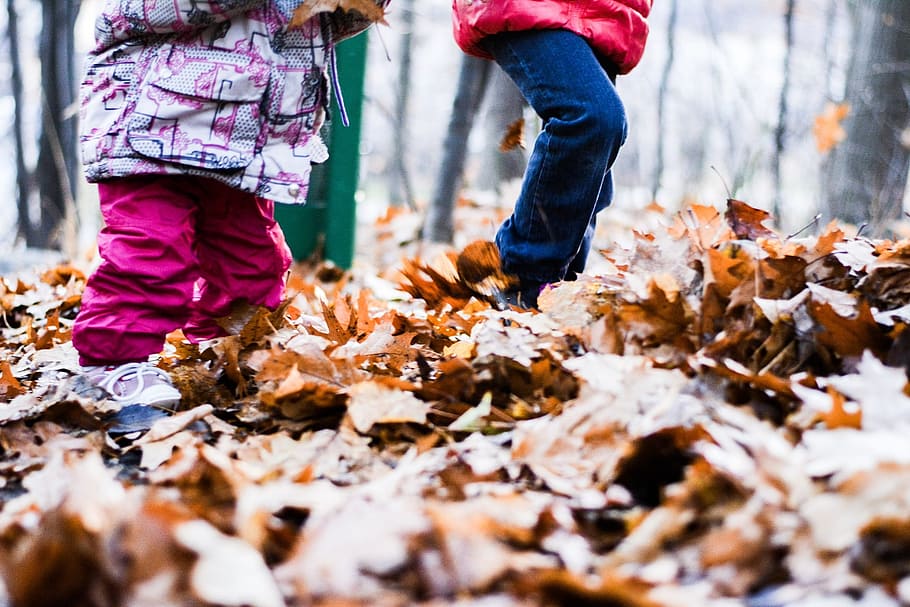 two persons standing on brown leaves, fall, leaf, children HD wallpaper