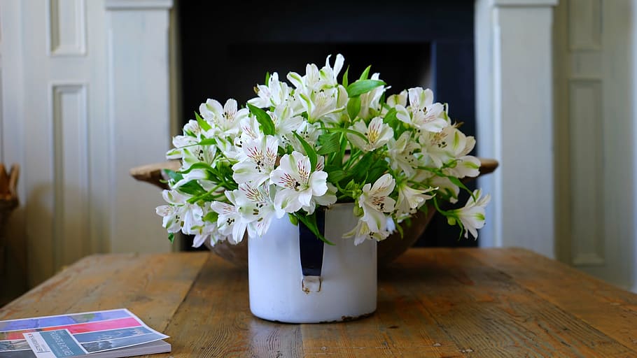 white petaled flowers in vase on tabletop, arrangement, ceramic HD wallpaper