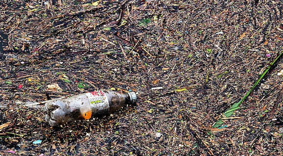 plastic bottle on muddy ground, waste, pollution, garbage, litter HD wallpaper